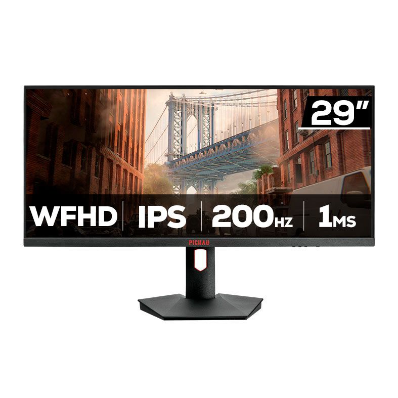 pg-nxsw29pro-bl01v252212