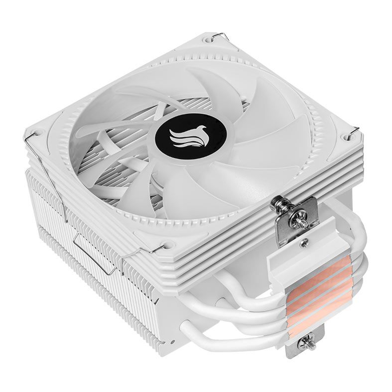 PG-SGEWH-RGB-V02 (3)