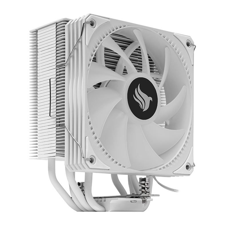 PG-SGEWH-RGB-V02 (4)