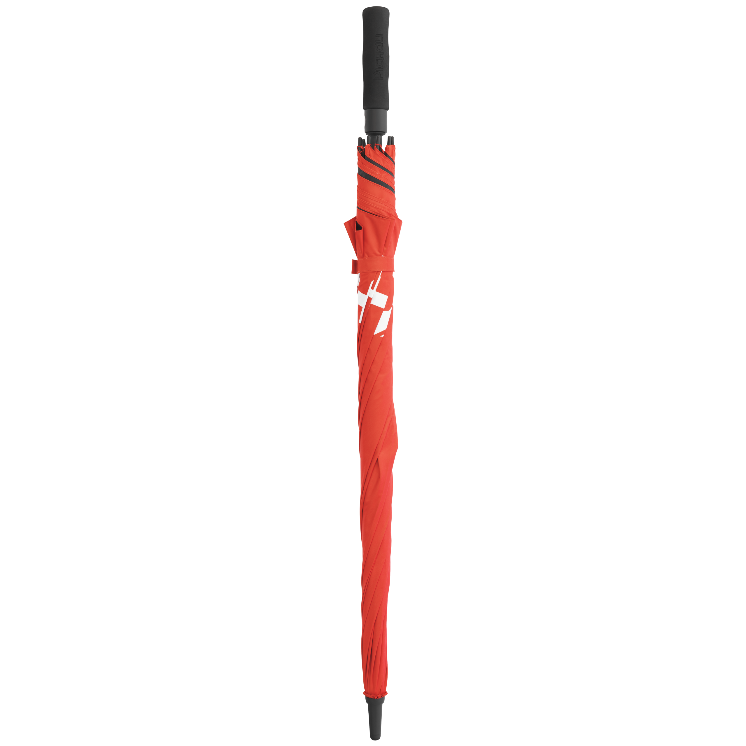 PG-GCGD-RS100RED (1)